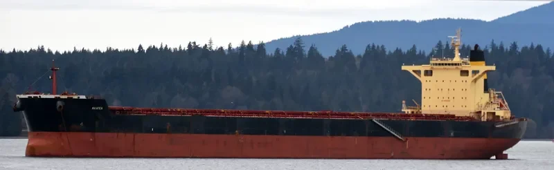RAIATEA Bulk Carrier IMO 9580376