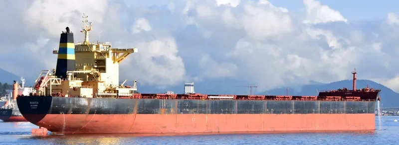 RAIATEA Bulk Carrier IMO 9580376 photo 2