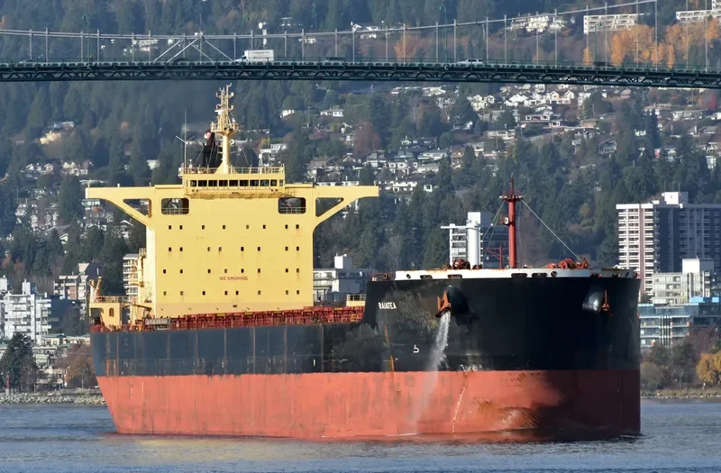 RAIATEA Bulk Carrier IMO 9580376 photo 4