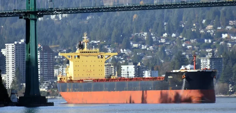 RAIATEA Bulk Carrier IMO 9580376 photo 5