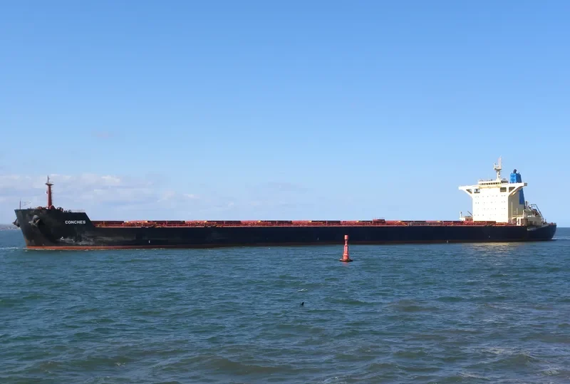 RAIATEA Bulk Carrier IMO 9580376 photo 10