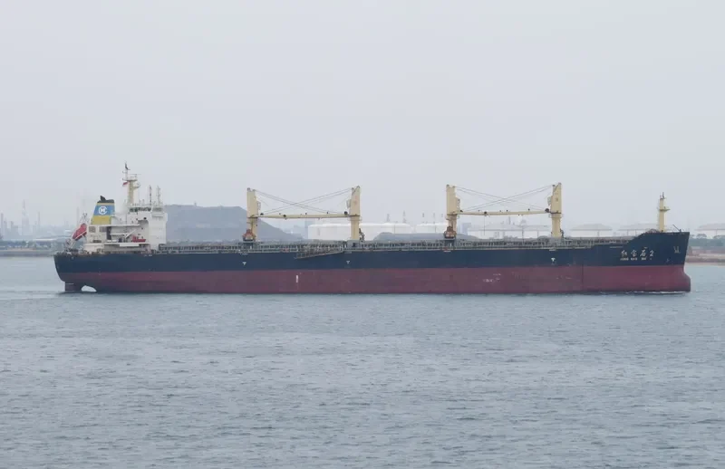 HONG BAO SHI 2 Bulk Carrier IMO 9580443 photo 4