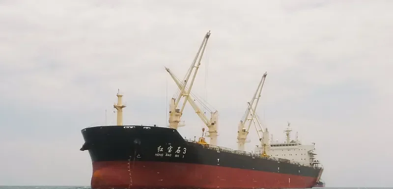 HONG BAO SHI 3 Bulk Carrier IMO 9580455