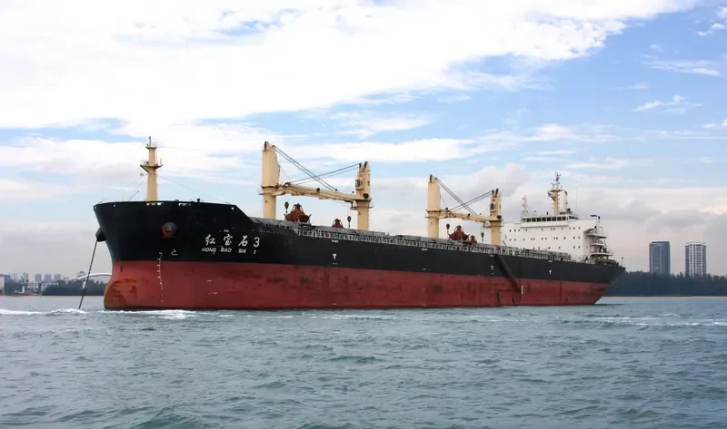 HONG BAO SHI 3 Bulk Carrier IMO 9580455 photo 2
