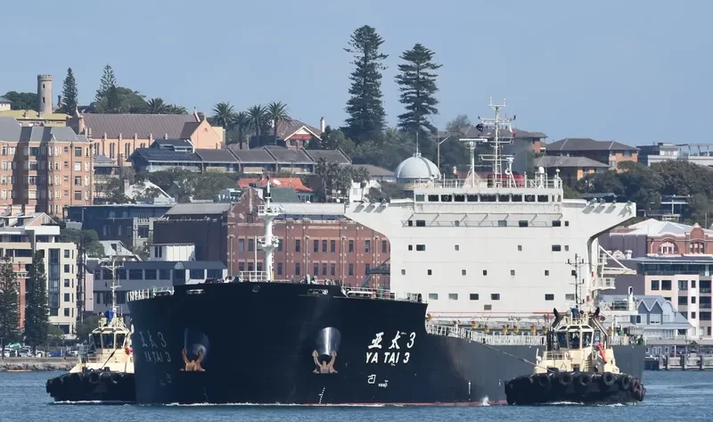 YING HAO 03 Bulk Carrier IMO 9580481 photo 8
