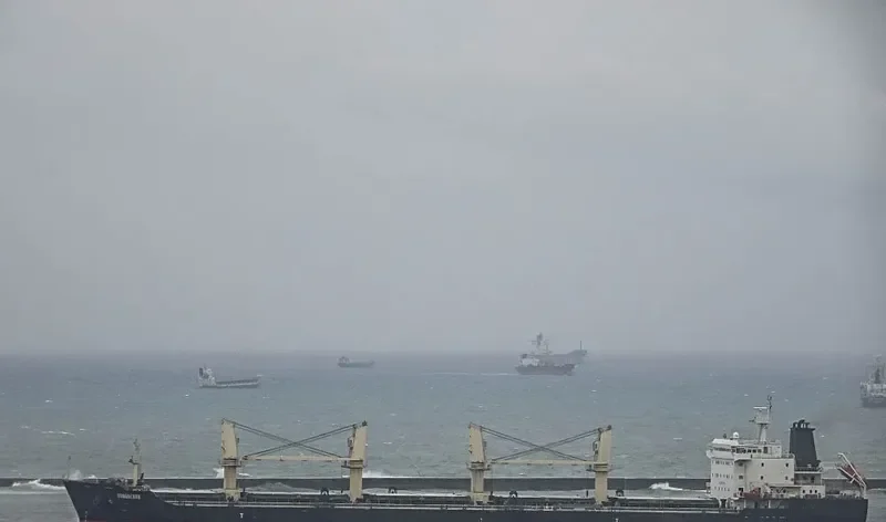 TAN BINH 239 Bulk Carrier IMO 9580493