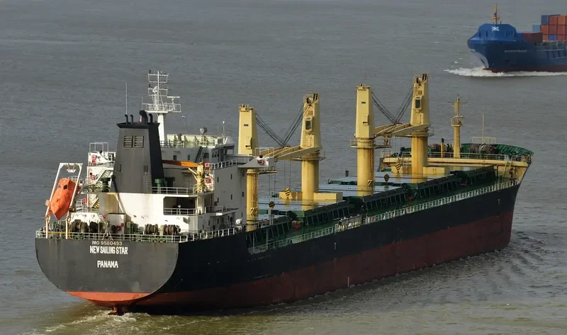 TAN BINH 239 Bulk Carrier IMO 9580493 photo 2