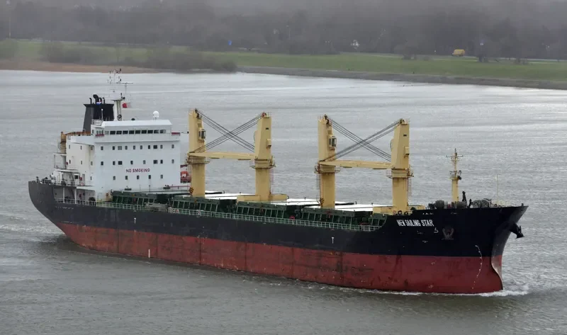 TAN BINH 239 Bulk Carrier IMO 9580493 photo 3