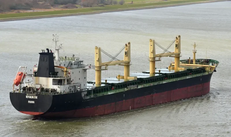 TAN BINH 239 Bulk Carrier IMO 9580493 photo 4
