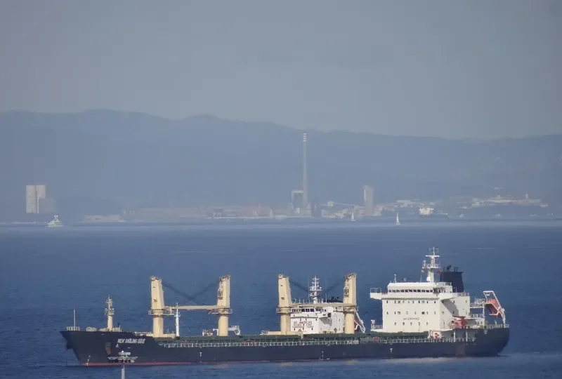 TAN BINH 239 Bulk Carrier IMO 9580493 photo 8