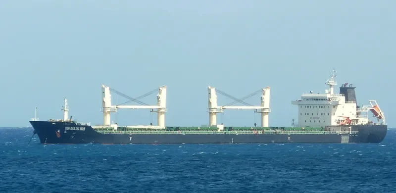 TAN BINH 239 Bulk Carrier IMO 9580493 photo 10