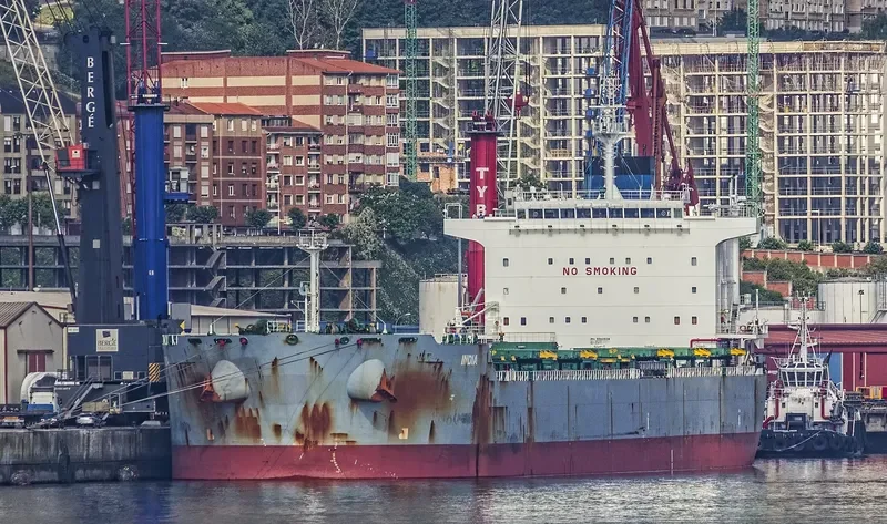 INDIA Bulk Carrier IMO 9580508 photo 5