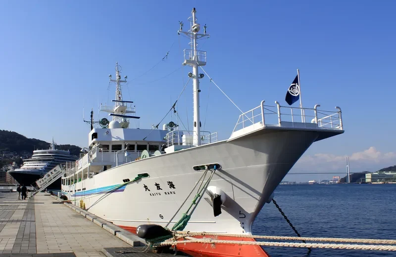 KAIYUMARU General Cargo IMO 9580948 photo 9