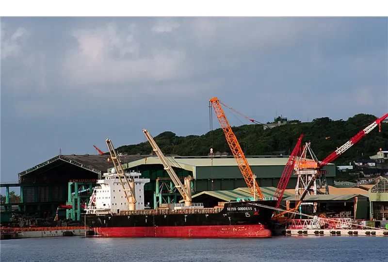 SEIYO GODDESS General Cargo IMO 9581045