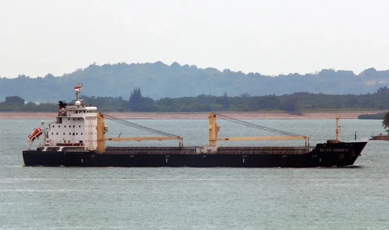 SEIYO GODDESS General Cargo IMO 9581045 photo 5