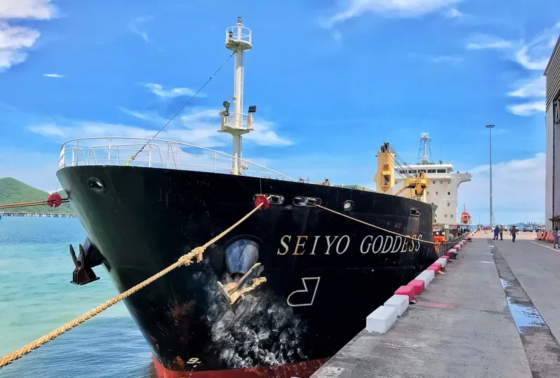 SEIYO GODDESS General Cargo IMO 9581045 photo 8