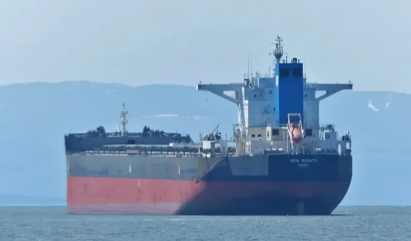HL GLADSTONE Bulk Carrier IMO 9581174 photo 7