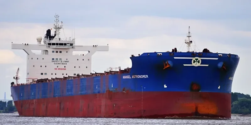 ANANGEL ASTRONOMER Bulk Carrier IMO 9581239 photo 7
