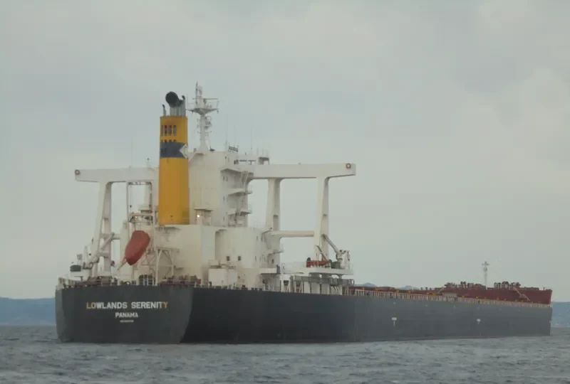 LOWLANDS SERENITY Bulk Carrier IMO 9581758 photo 5