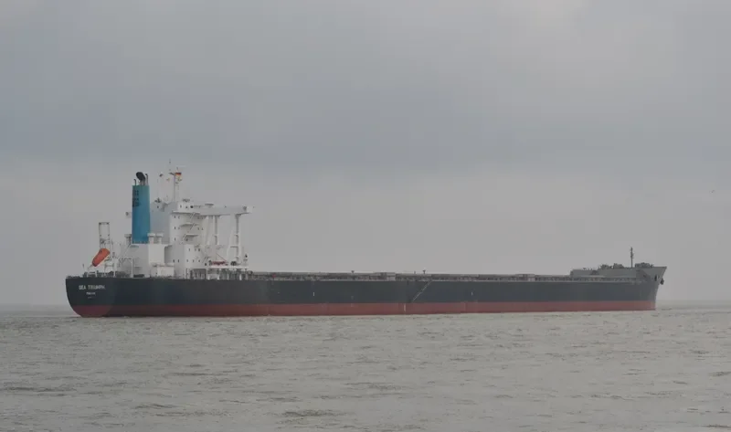 SEA TRIUMPH Bulk Carrier IMO 9581760 photo 4