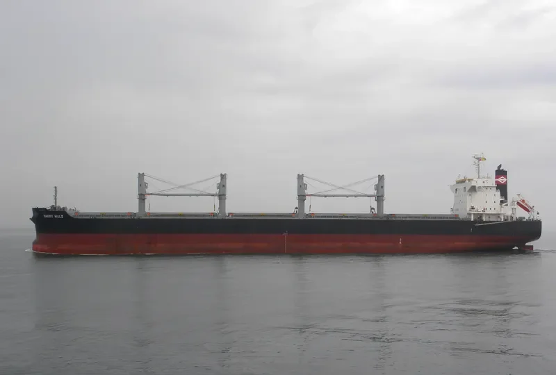ALMIRA Bulk Carrier IMO 9581784 photo 4