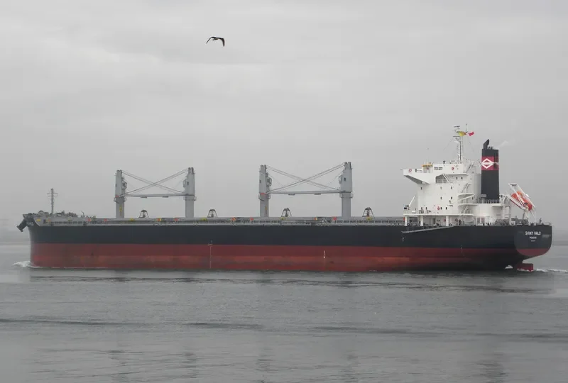 ALMIRA Bulk Carrier IMO 9581784 photo 5