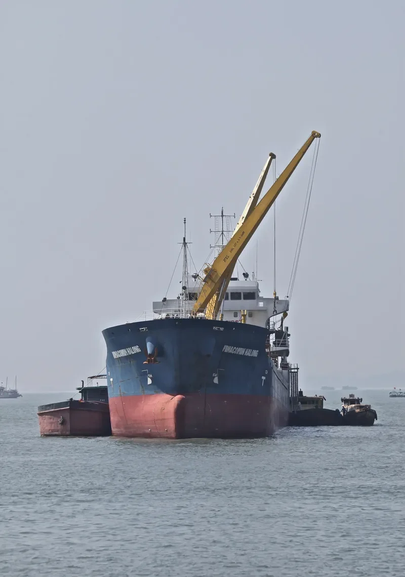 VINACOMIN HALONG Bulk Carrier IMO 9581813 photo 4