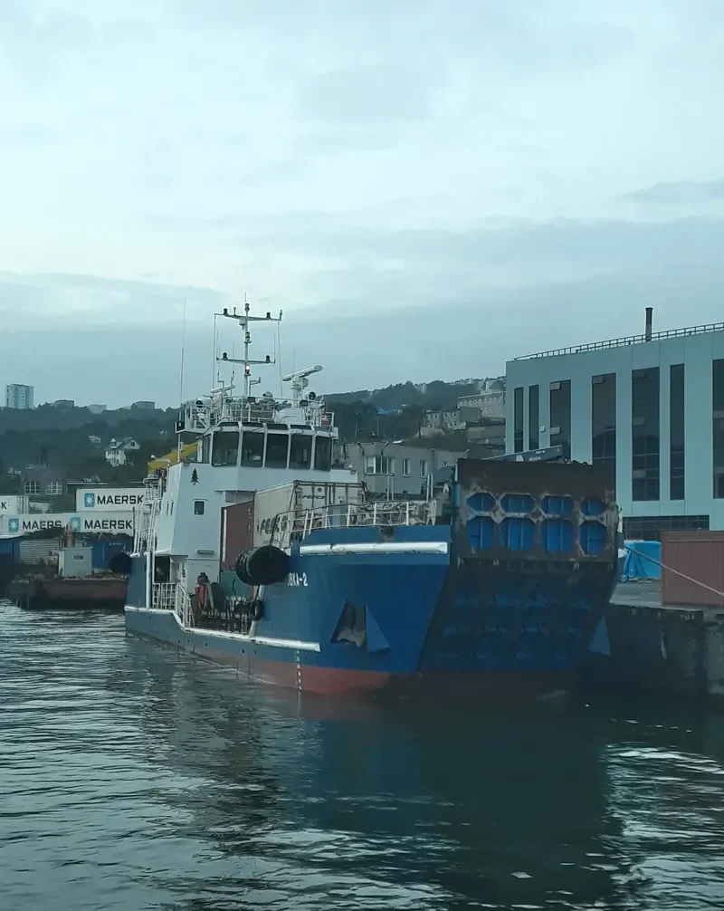 SOSNOVKA 2 General Cargo IMO 9582025 photo 6