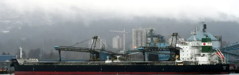 EPIPHANIA Bulk Carrier IMO 9582116 photo 2