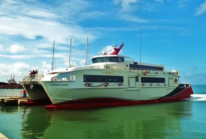 CARNIVAL RUNNER Passenger Ship IMO 9582142