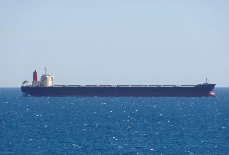 PILBARA MARU Bulk Carrier IMO 9582257 photo 4