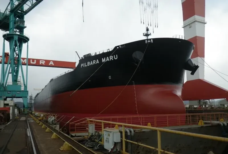 PILBARA MARU Bulk Carrier IMO 9582257 photo 7