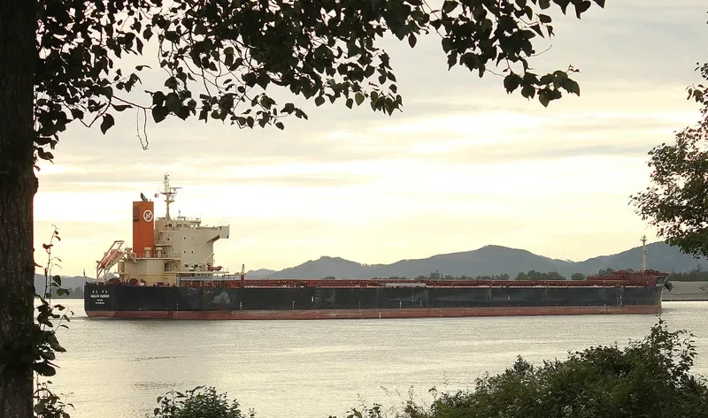 STAR ASTRID Bulk Carrier IMO 9582453