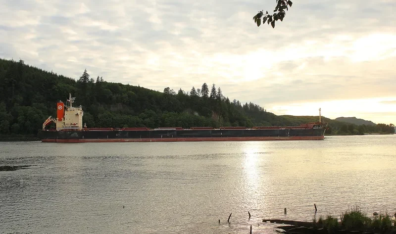 STAR ASTRID Bulk Carrier IMO 9582453 photo 2