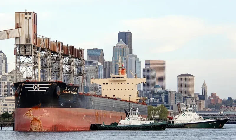 STAR ASTRID Bulk Carrier IMO 9582453 photo 7