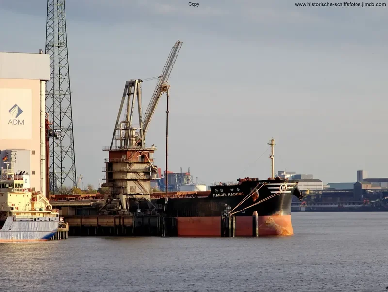 STAR ASTRID Bulk Carrier IMO 9582453 photo 9