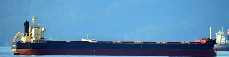 MAGIC PERSEUS Bulk Carrier IMO 9582477