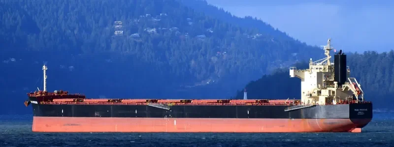 MAGIC PERSEUS Bulk Carrier IMO 9582477 photo 3