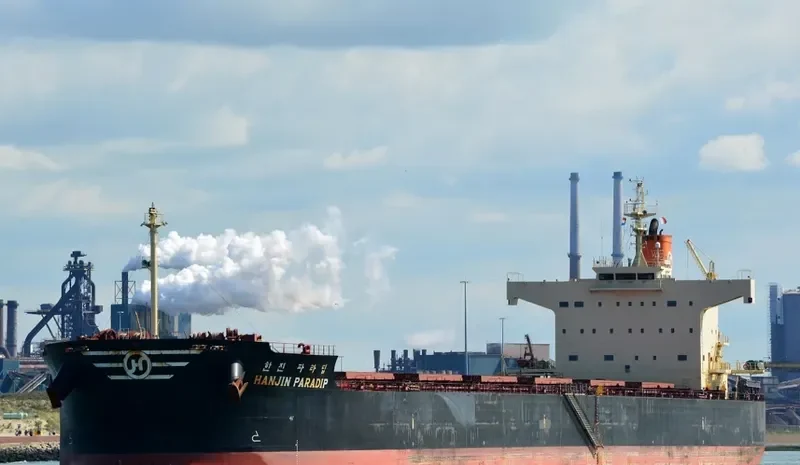 MAGIC PERSEUS Bulk Carrier IMO 9582477 photo 8