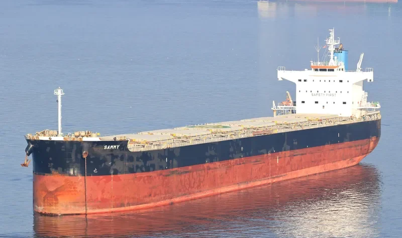 SAMMY Bulk Carrier IMO 9582491