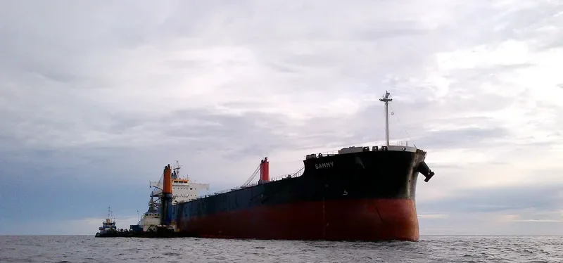 SAMMY Bulk Carrier IMO 9582491 photo 4