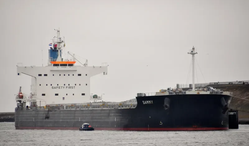 SAMMY Bulk Carrier IMO 9582491 photo 6