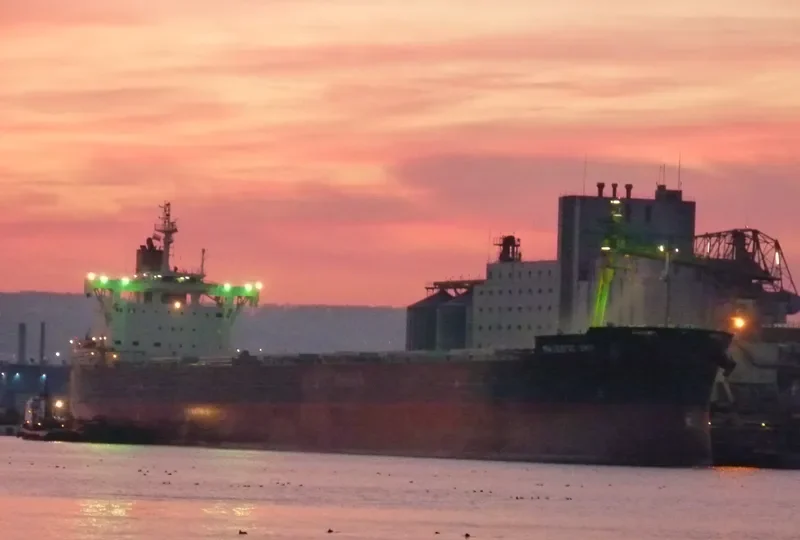 MAJESTIC SKY Bulk Carrier IMO 9582520 photo 6
