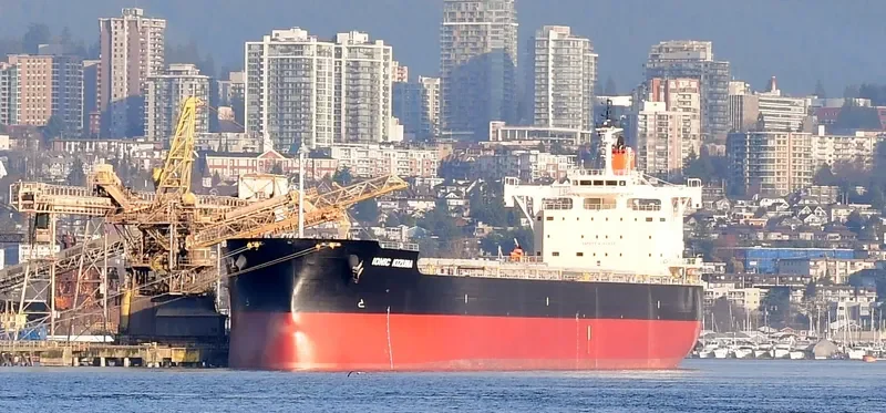 IONIC KIZUNA Bulk Carrier IMO 9582532 photo 4