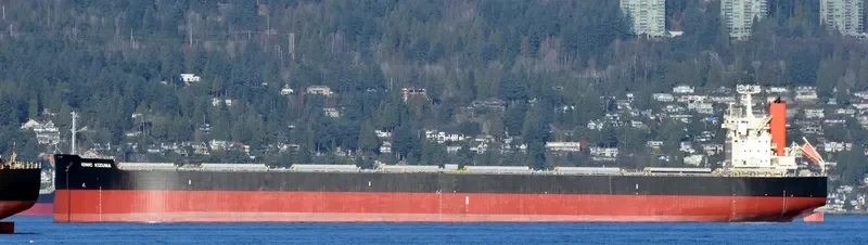 IONIC KIZUNA Bulk Carrier IMO 9582532 photo 6