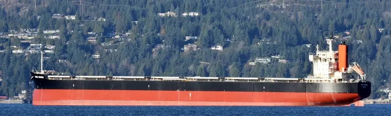 IONIC KIZUNA Bulk Carrier IMO 9582532 photo 7