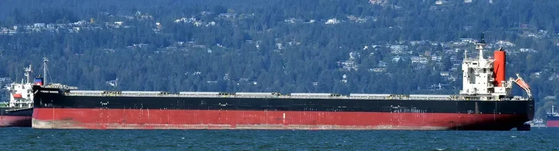 ENERGY SUNRISE Bulk Carrier IMO 9582544 photo 5