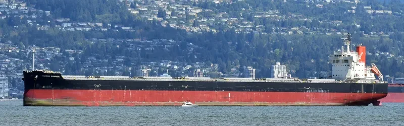 ENERGY SUNRISE Bulk Carrier IMO 9582544 photo 7
