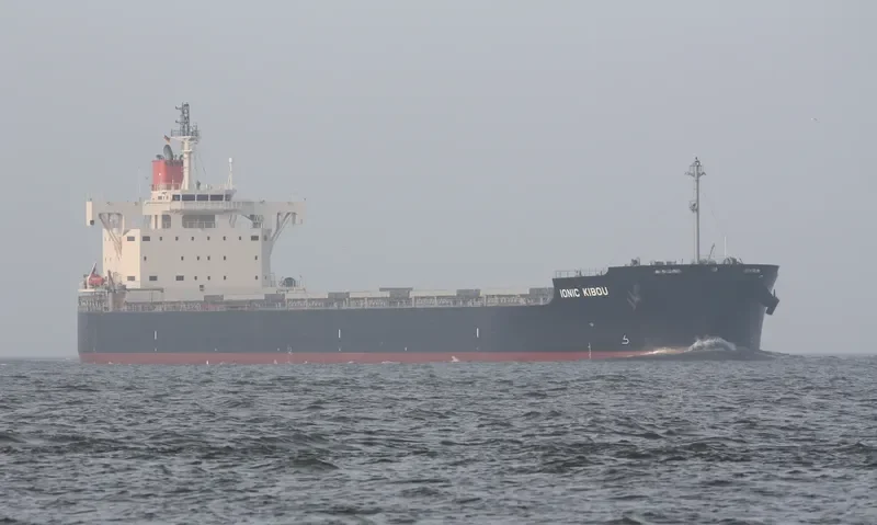 IONIC KIBOU Bulk Carrier IMO 9582556