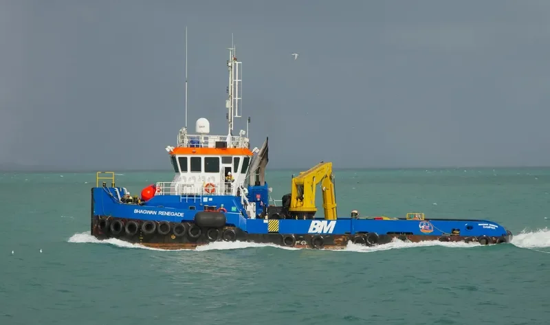 BHAGWAN RENEGADE General Cargo IMO 9582752 photo 6